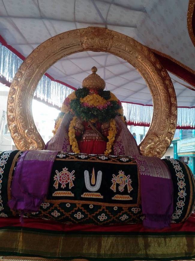 Thiruvallur_Ratha sapthami_2017_13