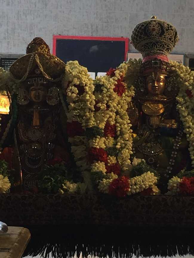  Mylapore SVDD Srinivasa Perumal Temple
