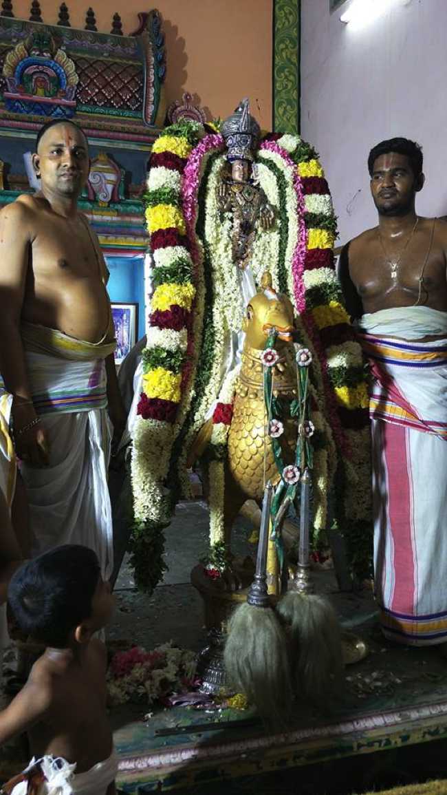 Sri Sowmya Damodara Perumal