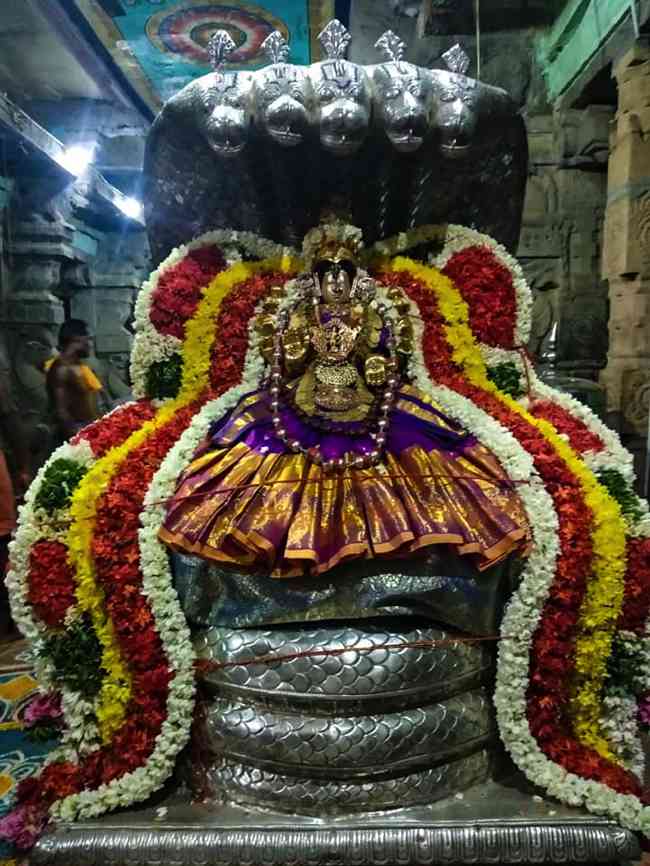 Sri Vidhya Rajagopala Swamy