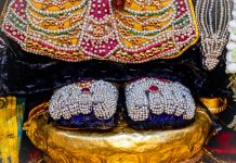 Srirangam Vaikunta Ekadasi – Pagal Pathu – Day 9